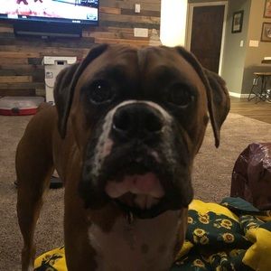 Meet your Posher, Jim